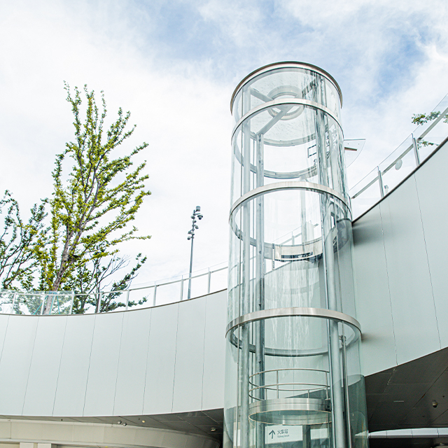 Обзорный лифт полного круга